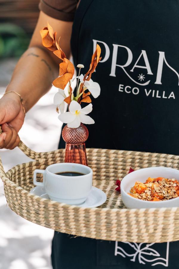 Prana Eco Villa Atins Eksteriør billede