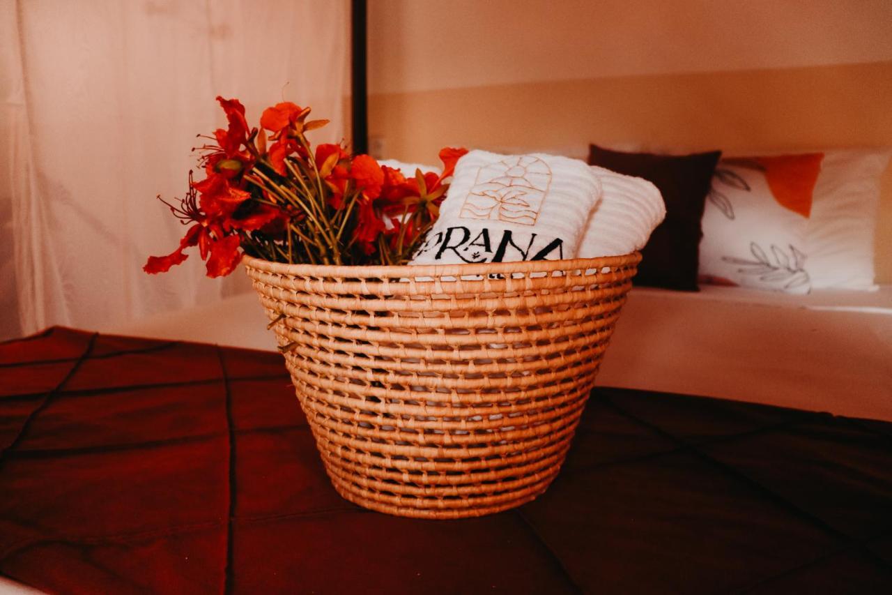 Prana Eco Villa Atins Eksteriør billede